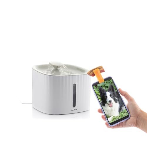 InnovaGoods Haustierbrunnen, frisches Wasser, kontinuierlich und leise, inklusive Selfie-Clip für Haustiere, kompatibel mit Smartphones und Kameras, modernes Design, ideal für Hunde und Katzen InnovaGoods Haustierbrunnen, frisches Wasser, kontinuierlich und leise, inklusive Selfie-Clip für Haustiere, kompatibel mit Smartphones und Kameras, modernes Design, ideal für Hunde und Katzen von InnovaGoods