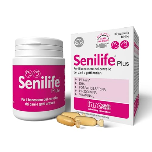 Innovet Senilife® Plus Wellness für ältere Hunde und Katzen, 30 Stück von Innovet