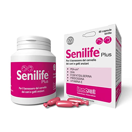 Senilife® Plus für das Gehirn von älteren Hunden und Katzen - verbessert die kognitiven Funktionen und das Gedächtnis für eine erfolgreiche Gehirnalterung - 60 Kapseln Birillo Einzeldosis von Innovet