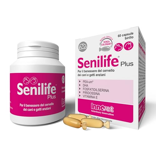 Senilife® Plus für das Gehirn von älteren Hunden und Katzen - verbessert die kognitiven Funktionen und das Gedächtnis für eine erfolgreiche Gehirnalterung - 60 Kapseln Birillo Einzeldosis von Innovet