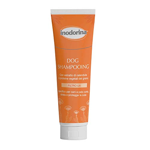 Inodorina, Shampoo für Hunde mit kurzem Haar, macht das Fell weich, spendet Feuchtigkeit und Schützt die Haut, mit Calendula-Extrakt und Weizenproteinen, mit UV-Filter, Ohne Parabene, 250 ml Inodorina, Shampoo für Hunde mit kurzem Haar, macht das Fell weich, spendet Feuchtigkeit und Schützt die Haut, mit Calendula-Extrakt und Weizenproteinen, mit UV-Filter, Ohne Parabene, 250 ml von Inodorina