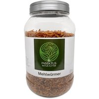 Insektus Mehlwürmer 2,5 kg von Insektus