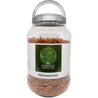 Insektus Mehlwürmer 5 kg von Insektus