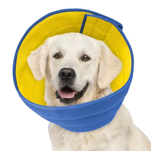 Hundekegel, weiche Genesungshalsbänder und -kegel, Gelb/Blau, Größe L Plus Hundekegel, weiche Genesungshalsbänder und -kegel, Gelb/Blau, Größe L Plus von Inspack