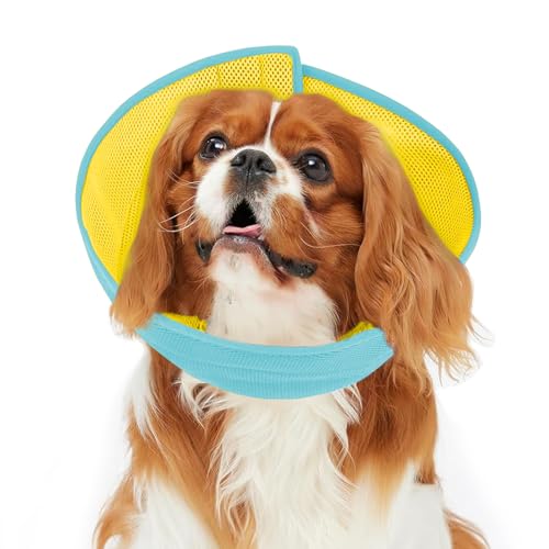 Hundekegel, weiche Genesungshalsbänder und -kegel, Gelb/Grün, S Hundekegel, weiche Genesungshalsbänder und -kegel, Gelb/Grün, S von Inspack