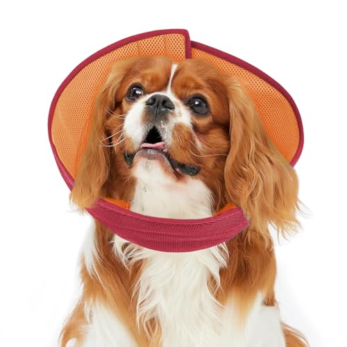 Hundekegel, weiche Genesungshalsbänder und -kegel, Orange/Rot, Größe S Hundekegel, weiche Genesungshalsbänder und -kegel, Orange/Rot, Größe S von Inspack