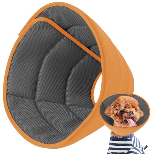 Hundekegel, weiche Genesungshalsbänder und -kegel, Schwarz/Gold, Größe M Hundekegel, weiche Genesungshalsbänder und -kegel, Schwarz/Gold, Größe M von Inspack