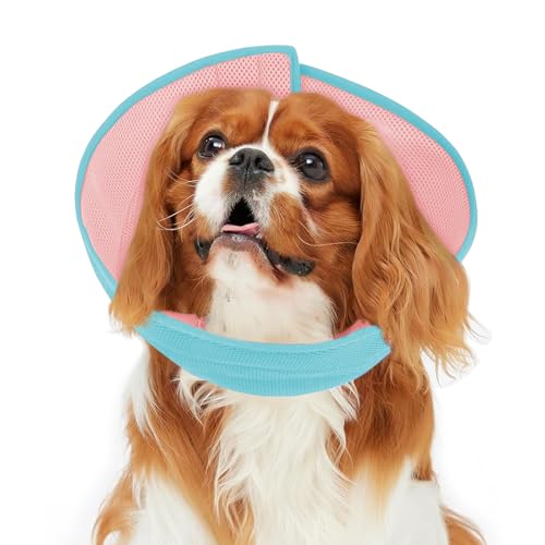 Inspack Weiche Alternative zu Hundehalsband, E-Kegel für kleine Hunde/Katzen/Welpen, um nach einer Operation nicht mehr zu lecken, bequem, alle Pfoten bequem, elisabethanische Halsbänder, Neuter von Inspack