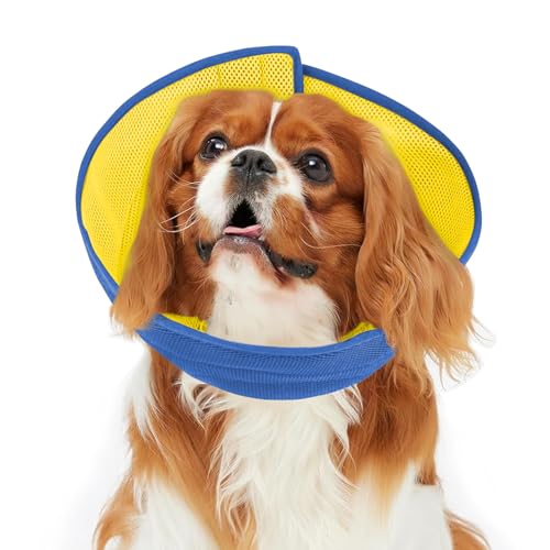 Inspack Weiche Alternative zu Hundehalsband, E-Kegel für kleine Hunde/Katzen/Welpen, um nach einer Operation nicht mehr zu lecken, bequem, alle Pfoten bequem, elisabethanische Halsbänder, Neuter Inspack Weiche Alternative zu Hundehalsband, E-Kegel für kleine Hunde/Katzen/Welpen, um nach einer Operation nicht mehr zu lecken, bequem, alle Pfoten bequem, elisabethanische Halsbänder, Neuter von Inspack