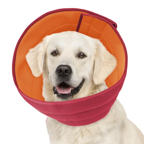 Weiches Hundehalsband, Alternative zum Lecken, bequeme E-Kegel für große und mittelgroße Hunde nach Operationen, bequeme elisabethanische Genesung, Kopfhalsbänder der Schande Weiches Hundehalsband, Alternative zum Lecken, bequeme E-Kegel für große und mittelgroße Hunde nach Operationen, bequeme elisabethanische Genesung, Kopfhalsbänder der Schande von Inspack