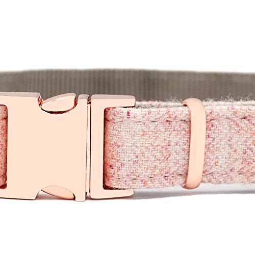 InstaPetTags Strapazierfähige Nylon-Hundehalsbänder und Leinen, mit Metall- und Rotgoldschnallen (großes Halsband, Pink mit Roségold) von InstaPetTags