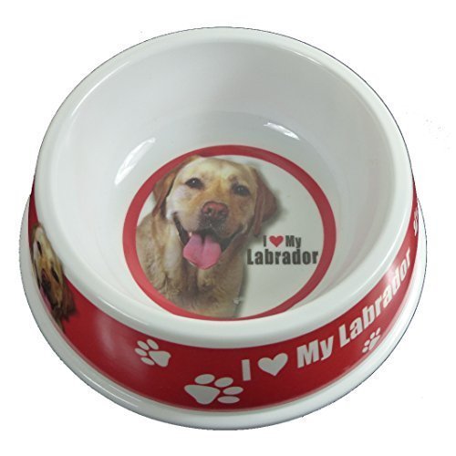 Instant Gifts Napf ~ Haustier/Tier/Dog ~ Fütterung/Futter/Dinner Napf ~ Labrador (Gelb) von Instant Gifts