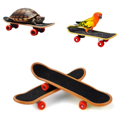 Intatikoo Mini-Skateboard-Scooter-Zubehör für Bartagamen, Papageien, Reptilien, Kleintiere Intatikoo Mini-Skateboard-Scooter-Zubehör für Bartagamen, Papageien, Reptilien, Kleintiere von Intatikoo