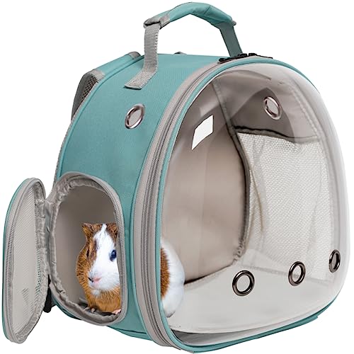 Meerschweinchen-Rucksack, klare Weltraumkapsel, Astronauten, transparentes Blasenfenster, kleine Tiere, Rucksack, Tragetasche für Bartdrachen, Hasen, Kätzchen, Reptilien, Tierarzt, Vist, Reisen (grün, klare Blase) von Interfashioner