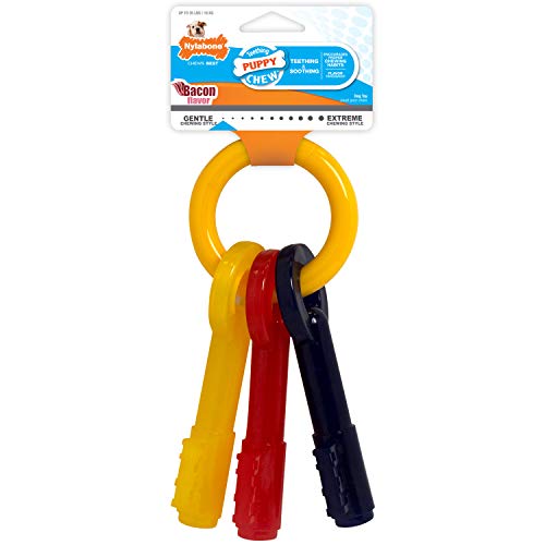 Nylabone, Kauspielzeug für Welpen und Zahnpflege-Spielzeug für zahnende Welpen, Kauspielzeug, für Mittelgroße Welpen bis 16kg, für sanft kauende/zahnende Hunde, Bacon-Geschmack, Schlüsselring Nylabone, Kauspielzeug für Welpen und Zahnpflege-Spielzeug für zahnende Welpen, Kauspielzeug, für Mittelgroße Welpen bis 16kg, für sanft kauende/zahnende Hunde, Bacon-Geschmack, Schlüsselring von Nylabone