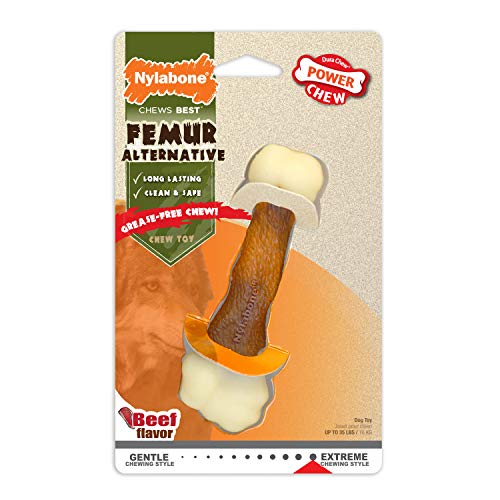 Interpet NFR001PEU Nylabone Kauspielzeug für extreme Kauer, Oberschenkelknochen - Rindergeschmack, M Interpet NFR001PEU Nylabone Kauspielzeug für extreme Kauer, Oberschenkelknochen - Rindergeschmack, M von Nylabone