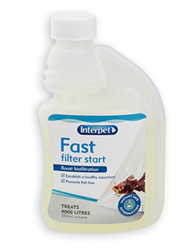 Interpet Quick Safe Start Mittel zum Behandeln von Aquarien-Wasser Interpet Quick Safe Start Mittel zum Behandeln von Aquarien-Wasser von Interpet