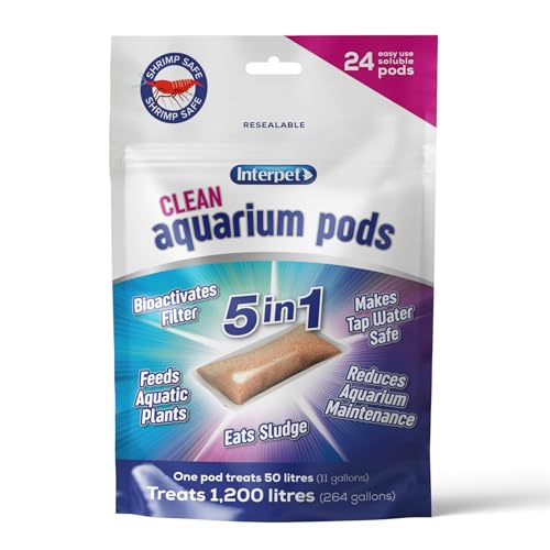 Interpet Saubere Aquarium-Kapseln, Macht Leitungswasser sicher für Süßwasser-Aquarien, bioaktiviert Filter, frisst Schlamm, füttert Pflanzen, reduziert die Wartung des Aquariums, 24 Stück Interpet Saubere Aquarium-Kapseln, Macht Leitungswasser sicher für Süßwasser-Aquarien, bioaktiviert Filter, frisst Schlamm, füttert Pflanzen, reduziert die Wartung des Aquariums, 24 Stück von Interpet