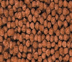 Koi-fit Rot (5 mm) 10 kg von Interquell
