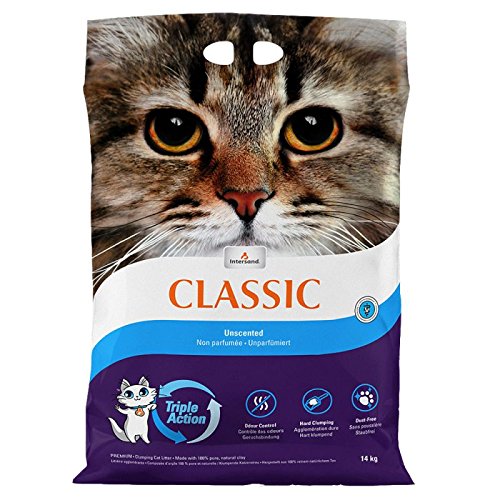 Intersand Doppelpack Classic Katzenstreu, geruchslos 2x15kg von Intersand