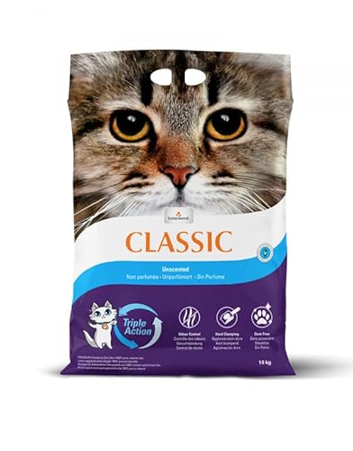 Intersand Extreme Classic Geruchsneutral, 14 kg – (18214) von Intersand