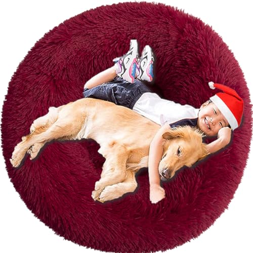 Intohou Flauschiges Donut-Hundebett, Anti-Angst, beruhigend, Plüsch-Hunde, rundes Kissen für Haustiere, Ø 50 cm, Weinrot Intohou Flauschiges Donut-Hundebett, Anti-Angst, beruhigend, Plüsch-Hunde, rundes Kissen für Haustiere, Ø 50 cm, Weinrot von Intohou