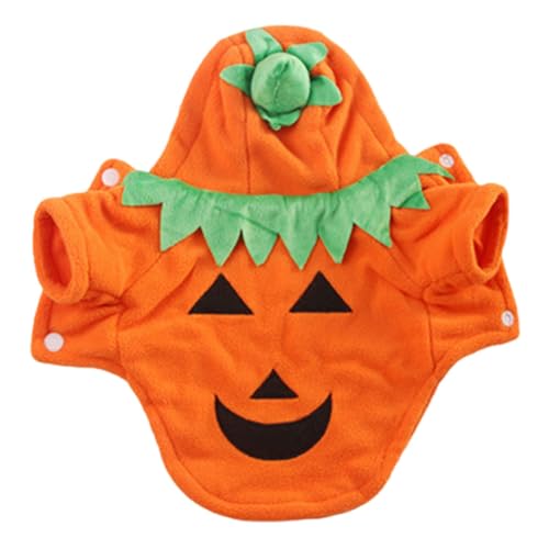 Introti Halloween-Kürbis-Hundekleidung, Cosplay-Kostüm für Haustiere, Hunde, Katzen, Größe S Introti Halloween-Kürbis-Hundekleidung, Cosplay-Kostüm für Haustiere, Hunde, Katzen, Größe S von Introti