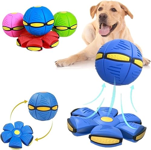 Invaxe Fliegend Untertasse Ball Spielzeug für Hunde und Katzen, Interaktives Fliegend Untertassen Ballspielzeug Geschenke für Kinder, Kleine Mittelgroße und GroßeRassen (Blau) von Invaxe