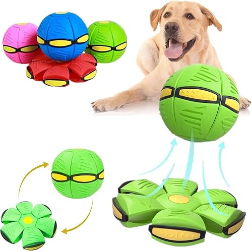 Invaxe Fliegend Untertasse Ball Spielzeug für Hunde und Katzen, Interaktives Fliegend Untertassen Ballspielzeug Geschenke für Kinder, Kleine Mittelgroße und GroßeRassen (Grün) von Invaxe