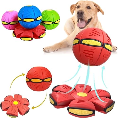 Invaxe Fliegend Untertasse Ball Spielzeug für Hunde und Katzen, Interaktives Fliegend Untertassen Ballspielzeug Geschenke für Kinder, Kleine Mittelgroße und GroßeRassen (Rot) von Invaxe