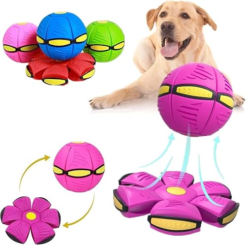 Invaxe Fliegend Untertasse Ball Spielzeug für Hunde und Katzen, Interaktives Fliegend Untertassen Ballspielzeug Geschenke für Kleine Mittelgroße und GroßeRassen (Rosa) von Invaxe