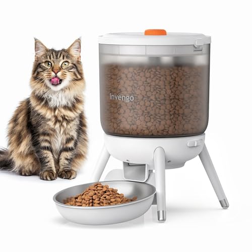 MeowServe B10 MeowServe B10 von Invengo
