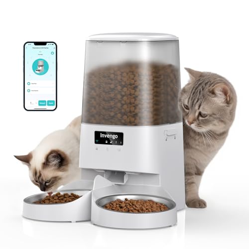 MeowServe S20D MeowServe S20D von Invengo
