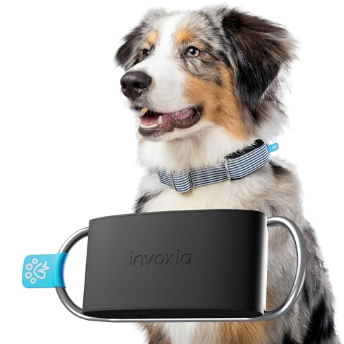 Invoxia Minitailz - Gesundheits- und GPS-Tracker für Hunde #1 - Herz- und Atemscans - Echtzeitstandort - Analyse von Aktivität und Wohlbefinden - Kompakt, leicht von Invoxia