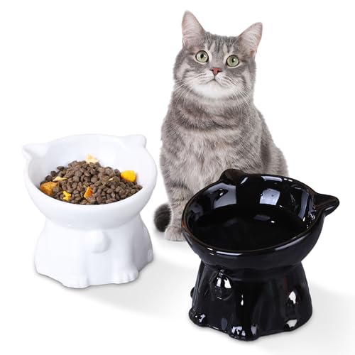 Erhöhte Keramik-Katzennäpfe für Indoor-Katzen, geneigter erhöhter Futternapf, Anti-Erbrochenes, Katzenfutter- und Wassernapf, Katzenschüssel, Futterspender für Katzen, kleine Hunde, schützt die von Inxhbow