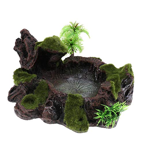 Inzopo Pflanzen-Moos-Dekoschale aus Kunstharz, für Futter und Wasser, Futterschale für Terrarium, Reptilienbecken von Inzopo