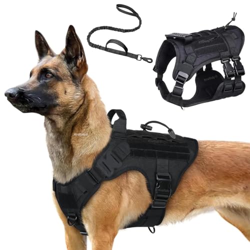 Adjustable Dog Harness Vest with Leash: Small Dog Harness and Traction Rope Set | and Training Harness for Puppies | Secure Pet Lead Combo for Walking Small Dogs Comfortably Adjustable Dog Harness Vest with Leash: Small Dog Harness and Traction Rope Set | and Training Harness for Puppies | Secure Pet Lead Combo for Walking Small Dogs Comfortably von Iouyjiu