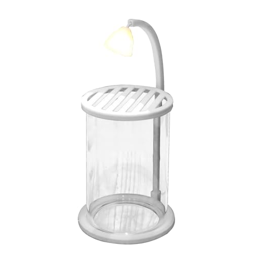 Beleuchtetes Glas-Aquarium – dekoratives Aquarium, verdicktes Aquarium mit LED-Licht, Schreibtisch-Ornament, perfekt für Schlafzimmer, Schreibtisch, Arbeitszimmer, Klassenzimmer, Büros, Wohnzimmer von Iouyjiu