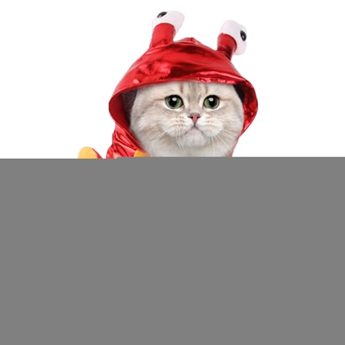 Iouyjiu Hundekostüm,Halloween Hund Cosplay Kostüm - Haustierzubehör Outfit Für Welpen Und Kätzchen Fotomotive Süßes Oder Saures Party Iouyjiu Hundekostüm,Halloween Hund Cosplay Kostüm - Haustierzubehör Outfit Für Welpen Und Kätzchen Fotomotive Süßes Oder Saures Party von Iouyjiu