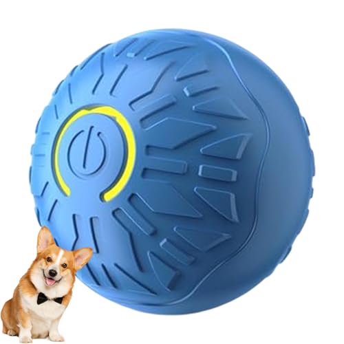 Iouyjiu Interactive Shaking Dog Ball, USB Powered Vibrating Dog Toy for Pet Play, Moving Pet Ball for Dogs, Perfect Interactive Toy for Chinese New Year, Valentine's Day, and Pet Playtime Fun Iouyjiu Interactive Shaking Dog Ball, USB Powered Vibrating Dog Toy for Pet Play, Moving Pet Ball for Dogs, Perfect Interactive Toy for Chinese New Year, Valentine's Day, and Pet Playtime Fun von Iouyjiu