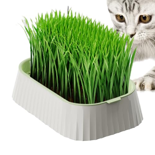 Iouyjiu Katzen-Pflanzgefäß – Keimschale für den Anbau von Katzen – zweischichtiges Pflanz-Set ohne Erde, Weizenkeimer für Tiere und Gartenarbeit im Haus Iouyjiu Katzen-Pflanzgefäß – Keimschale für den Anbau von Katzen – zweischichtiges Pflanz-Set ohne Erde, Weizenkeimer für Tiere und Gartenarbeit im Haus von Iouyjiu