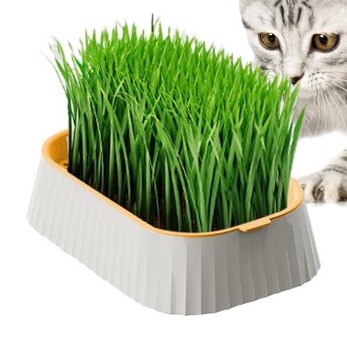 Iouyjiu Katzentoilette | Hydrokultur- für Katzen, zweischichtiges Pflanz-Set ohne Erde, Weizenkeimer für Tiere und Gartenarbeit Haus Iouyjiu Katzentoilette | Hydrokultur- für Katzen, zweischichtiges Pflanz-Set ohne Erde, Weizenkeimer für Tiere und Gartenarbeit Haus von Iouyjiu