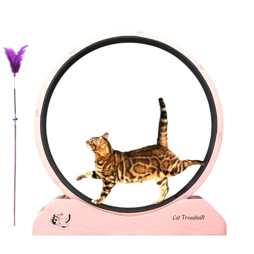 Iouyjiu Laufrad für Katzen, Laufband-Ausrüstung für die Fitness von Kätzchen | Laufrad für große Katzen, Laufmatte für den Innenbereich von Iouyjiu