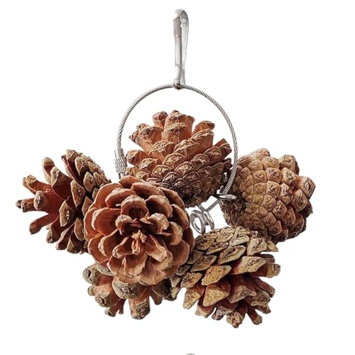 Pinecone Parrot Chew Toy, Natural Bird Chew Toy, Parrot Chewing Toys, Bird Cage Accessories for Parrot, Pinecone Design Encourages Natural Chewing Behavior for Small and Medium Sized Birds Pinecone Parrot Chew Toy, Natural Bird Chew Toy, Parrot Chewing Toys, Bird Cage Accessories for Parrot, Pinecone Design Encourages Natural Chewing Behavior for Small and Medium Sized Birds von Iouyjiu