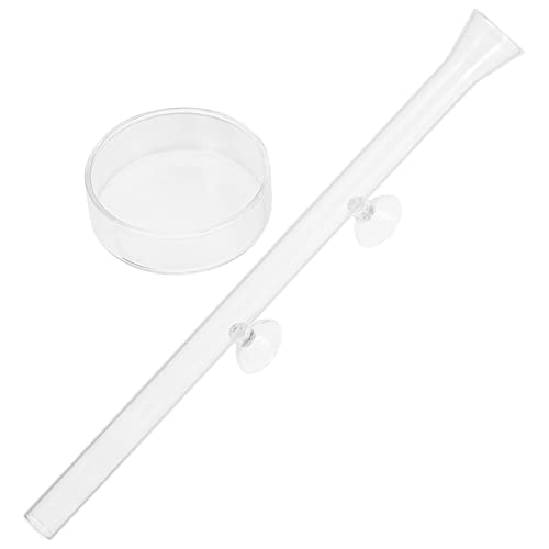 Ipetboom Garnelenfutterspender Aus Glas 25 cm Mit Schale Für Aquarien Futterspender Für Schnecken Garnelen Ipetboom Garnelenfutterspender Aus Glas 25 cm Mit Schale Für Aquarien Futterspender Für Schnecken Garnelen von Ipetboom