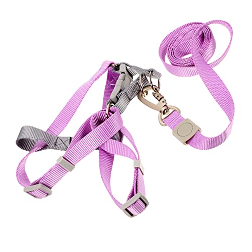 Ipetboom Hundeleinen-Set Für Hunde Leichtes Kompaktes Verstellbares Design Für Outdoor-aktivitäten Ipetboom Hundeleinen-Set Für Hunde Leichtes Kompaktes Verstellbares Design Für Outdoor-aktivitäten von Ipetboom