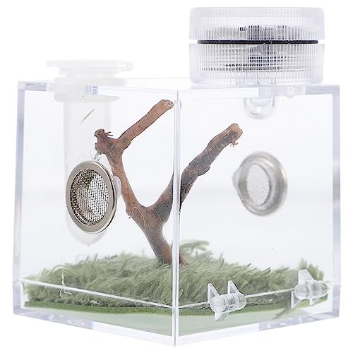 Ipetboom Glasbehälter Für Terrarien 1 Stück Spinnen-Habitat-Box Springende Spinne Zuchtkoffer Spinnen-Aufbewahrungsbox Mit Lampe Spinne Springt Aus Der Box Streich Glasbehälter Für Ipetboom Glasbehälter Für Terrarien 1 Stück Spinnen-Habitat-Box Springende Spinne Zuchtkoffer Spinnen-Aufbewahrungsbox Mit Lampe Spinne Springt Aus Der Box Streich Glasbehälter Für von Ipetboom