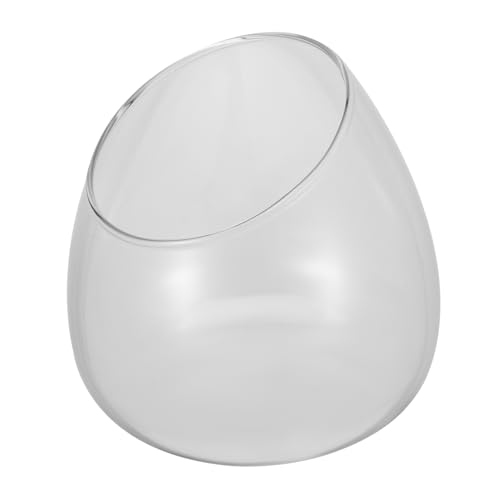 Ipetboom 1 Stück Terrarium Glasvase für Sukkulenten Mikrolandschaft Ökologiebehälter Transparent Langlebig für Zuhause Büro und Dekoration Kreatives Design von Ipetboom