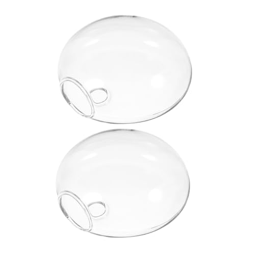 Ipetboom 2 Stück Teiliges Wandmontierte Hydroponikvase Transparentes Terrarium Pflanzgefäß für Indoor Pflanzen Wohnzimmer Büro Kräutertopf Hydroponisch Pflegeleicht von Ipetboom