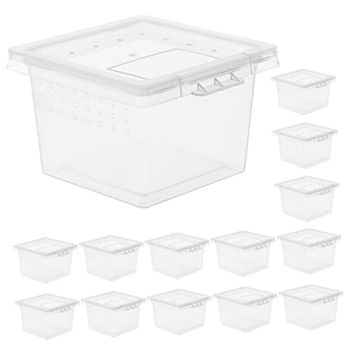 Ipetboom 20 Stück Reptil Box, Schlüpfender Tausendfüßler Schildkröte Laubfrosch Bartschildkröte Haustierbehälter Acrylgehäuse Spinne Vogelspinnen Terrarien Füttern, Insektenbox Faunabox Terrarium Ipetboom 20 Stück Reptil Box, Schlüpfender Tausendfüßler Schildkröte Laubfrosch Bartschildkröte Haustierbehälter Acrylgehäuse Spinne Vogelspinnen Terrarien Füttern, Insektenbox Faunabox Terrarium von Ipetboom
